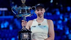 行业门户定位示意